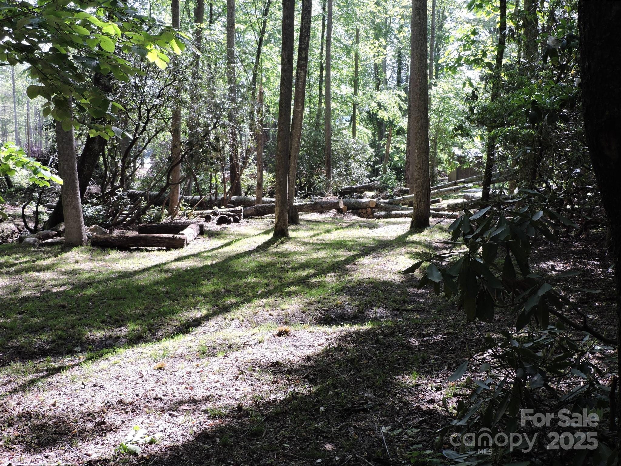0 Swiss Pine Lake Drive Spruce Pine NC 28777