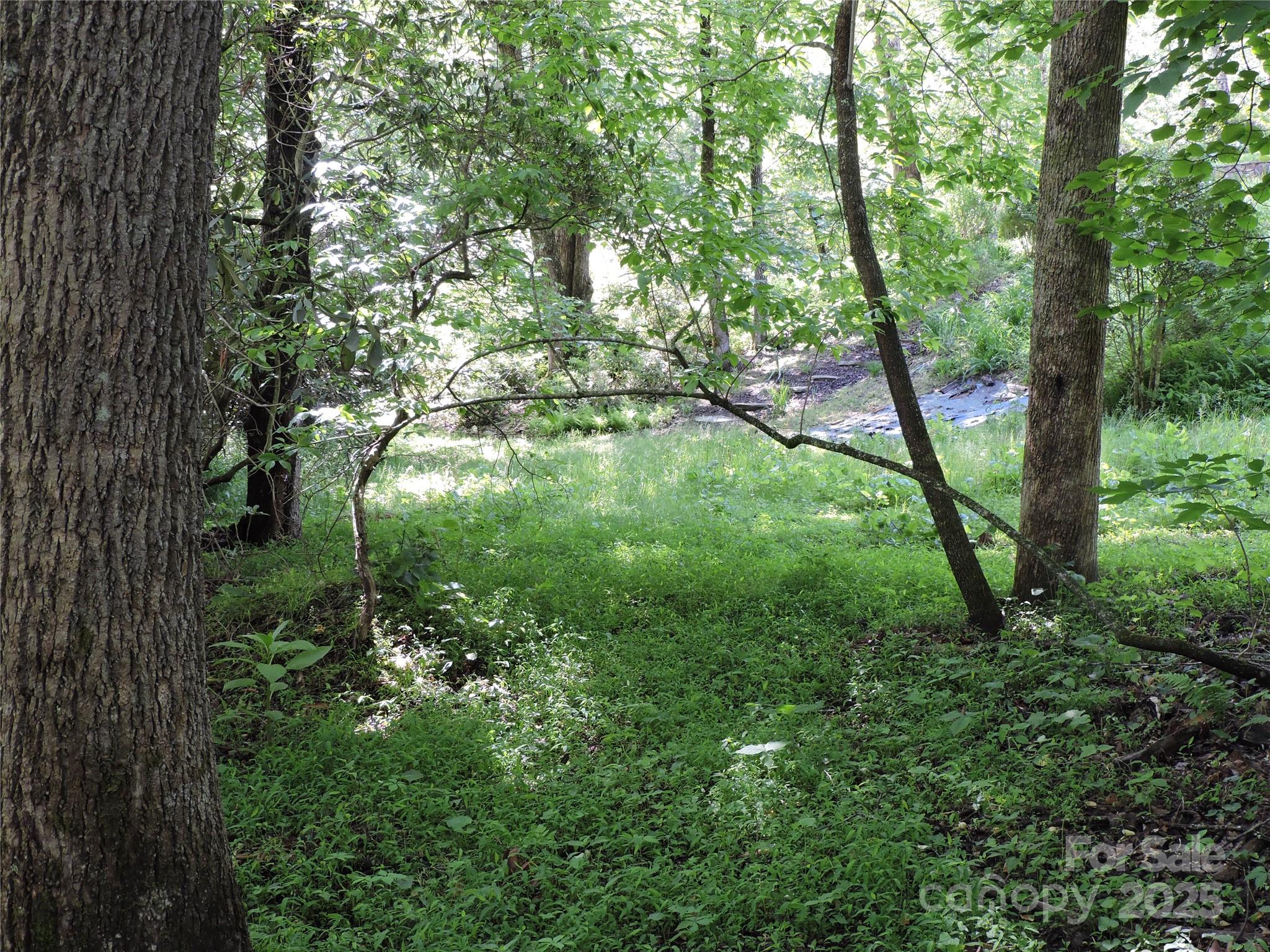 0 Swiss Pine Lake Drive Spruce Pine NC 28777