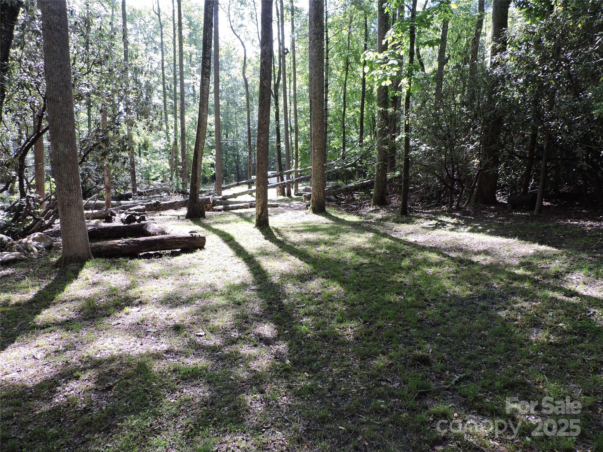 0 Swiss Pine Lake Drive Spruce Pine NC 28777