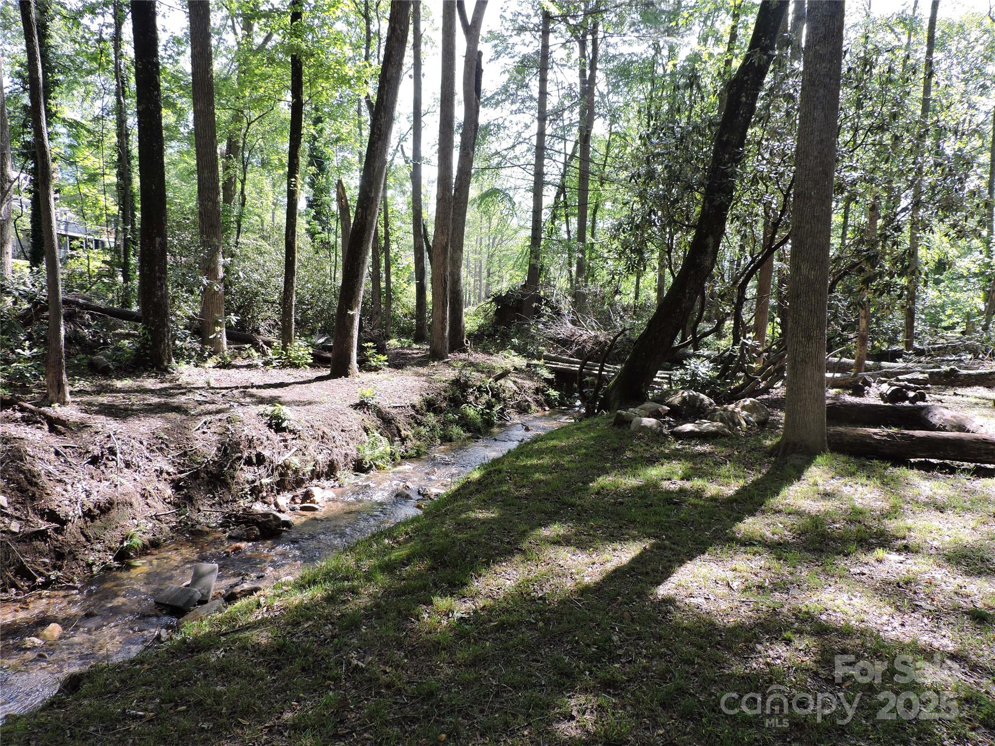 0 Swiss Pine Lake Drive Spruce Pine NC 28777