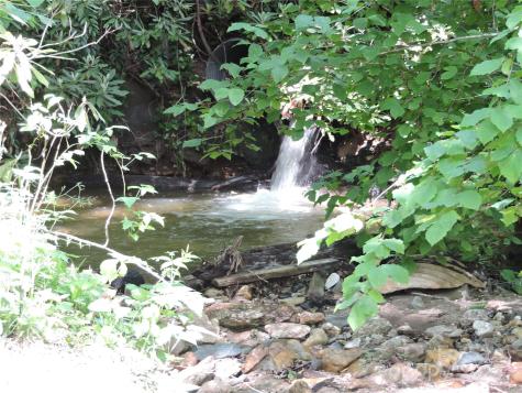 0 Swiss Pine Lake Drive Spruce Pine NC 28777