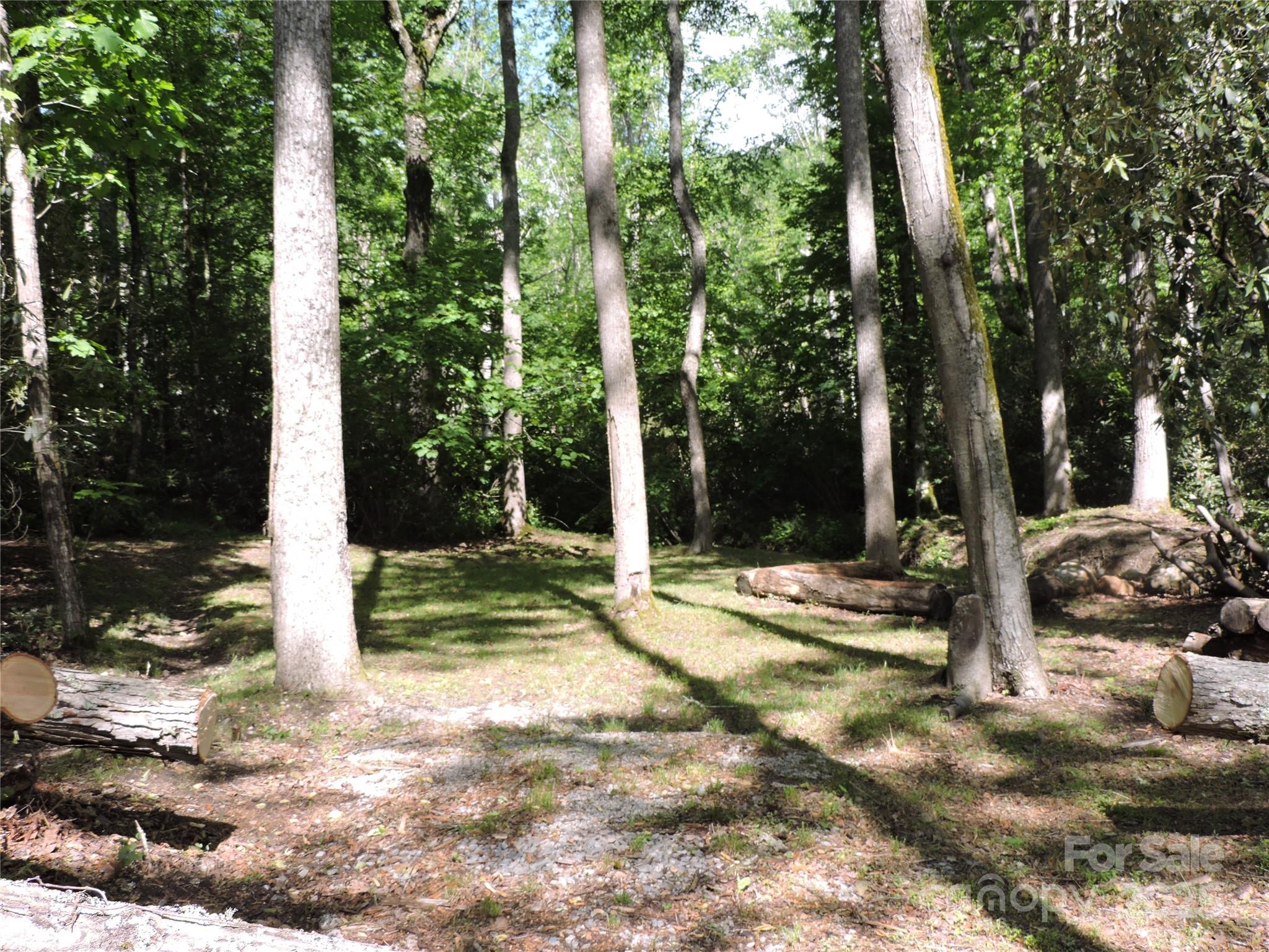 0 Swiss Pine Lake Drive Spruce Pine NC 28777