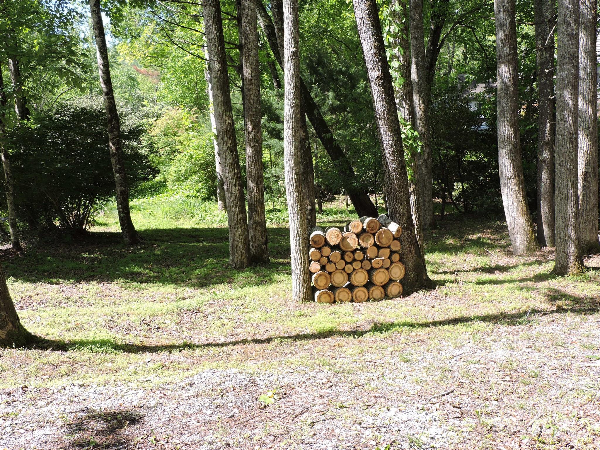 0 Swiss Pine Lake Drive Spruce Pine NC 28777