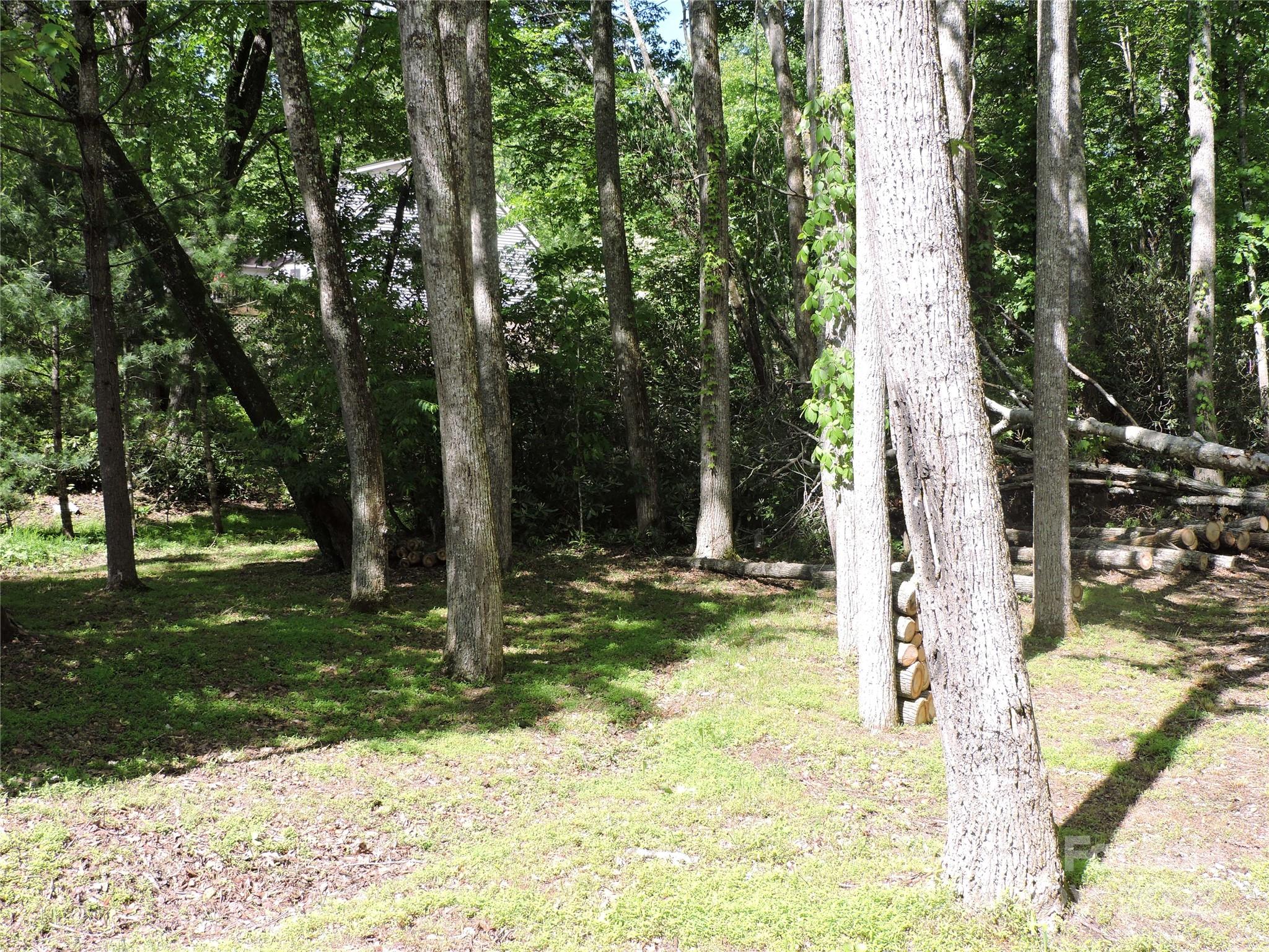 0 Swiss Pine Lake Drive Spruce Pine NC 28777
