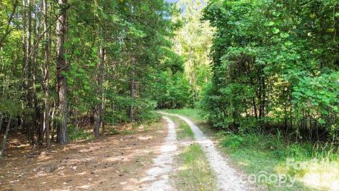 109 Nc Highway 109 Highway N Wadesboro NC 28170