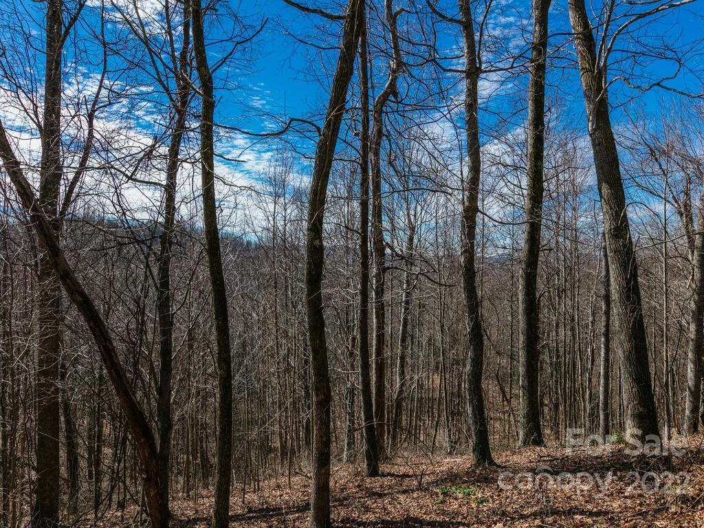 8F Red Bud Lane Laurel Park NC 28739