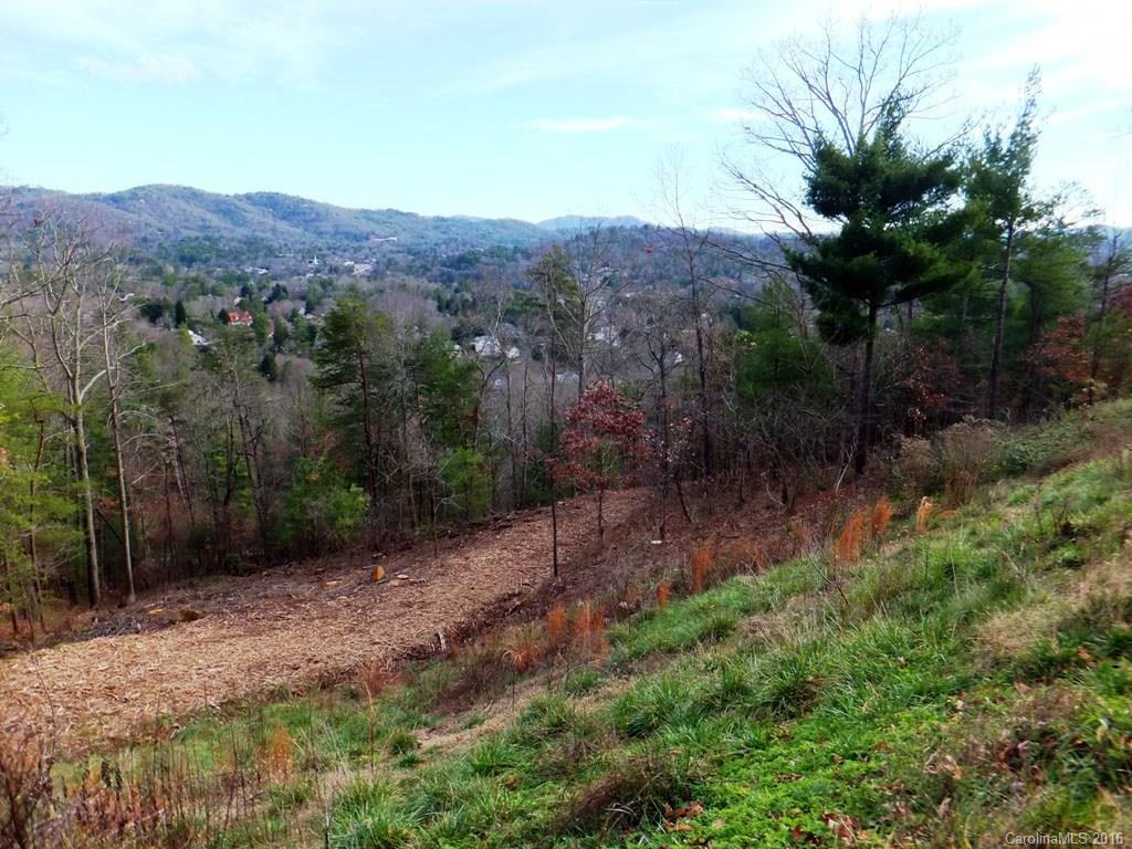 135 Senator Reynolds Road Asheville NC 28804