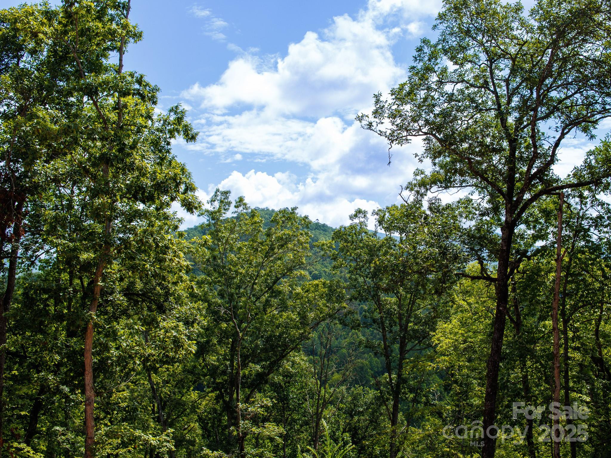 9999 Kimberly Lane Franklin NC 28734