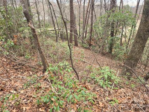 Lot 28 Roundabout Road Lake Lure NC 28746