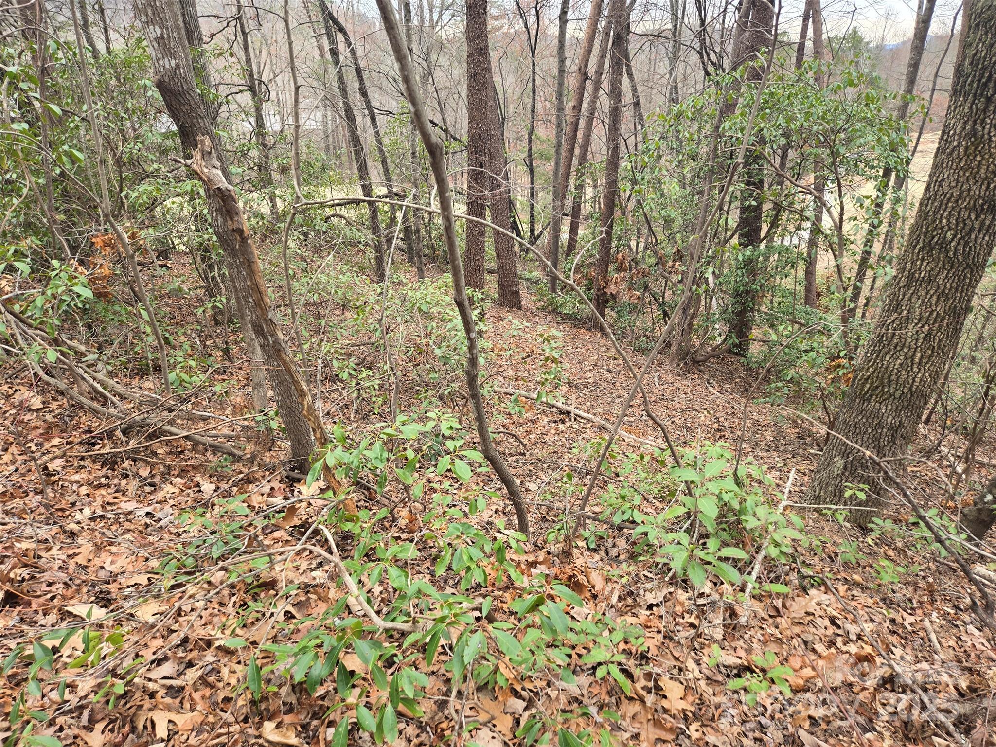 Lot 28 Roundabout Road Lake Lure NC 28746