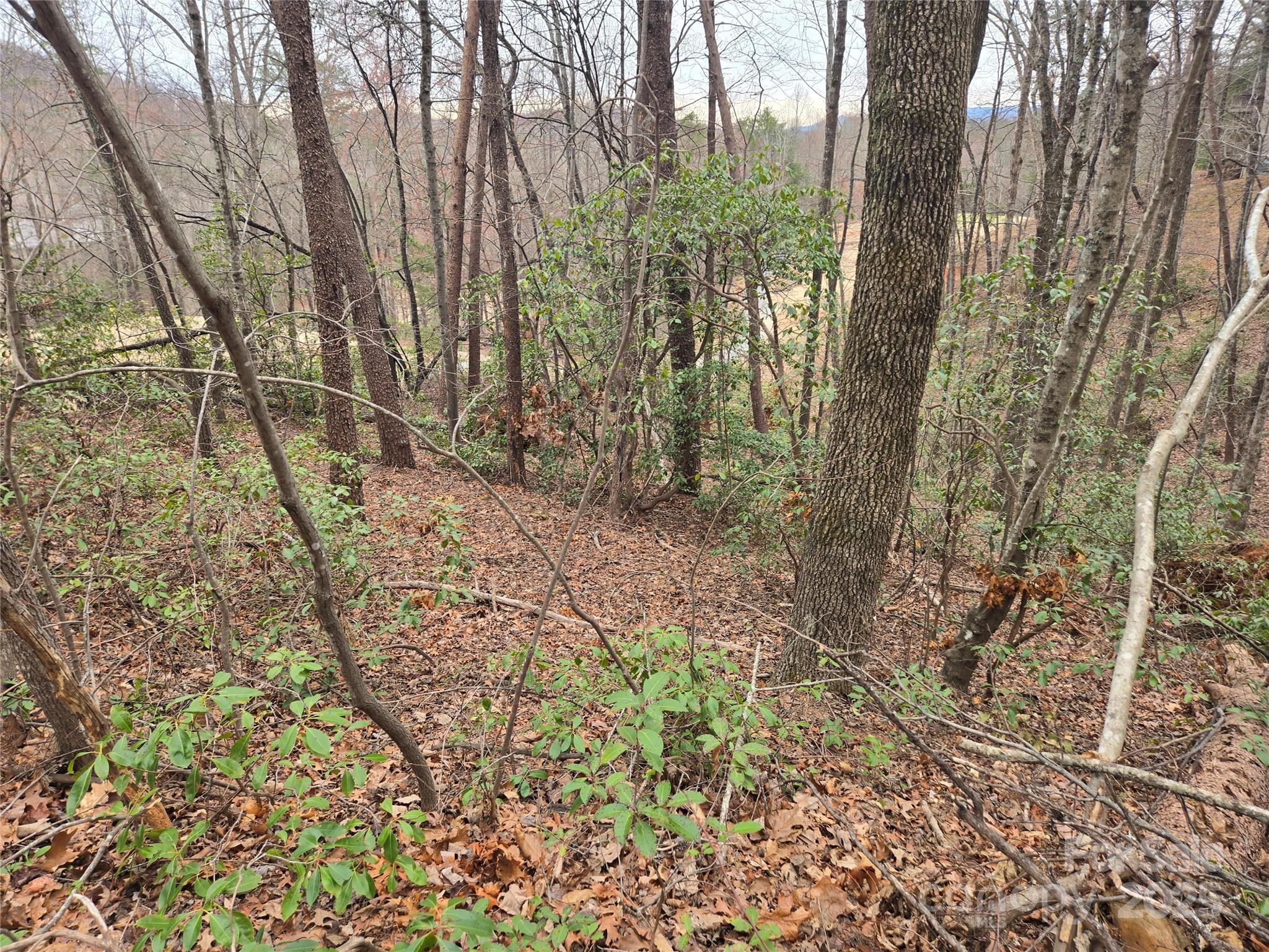 Lot 28 Roundabout Road Lake Lure NC 28746