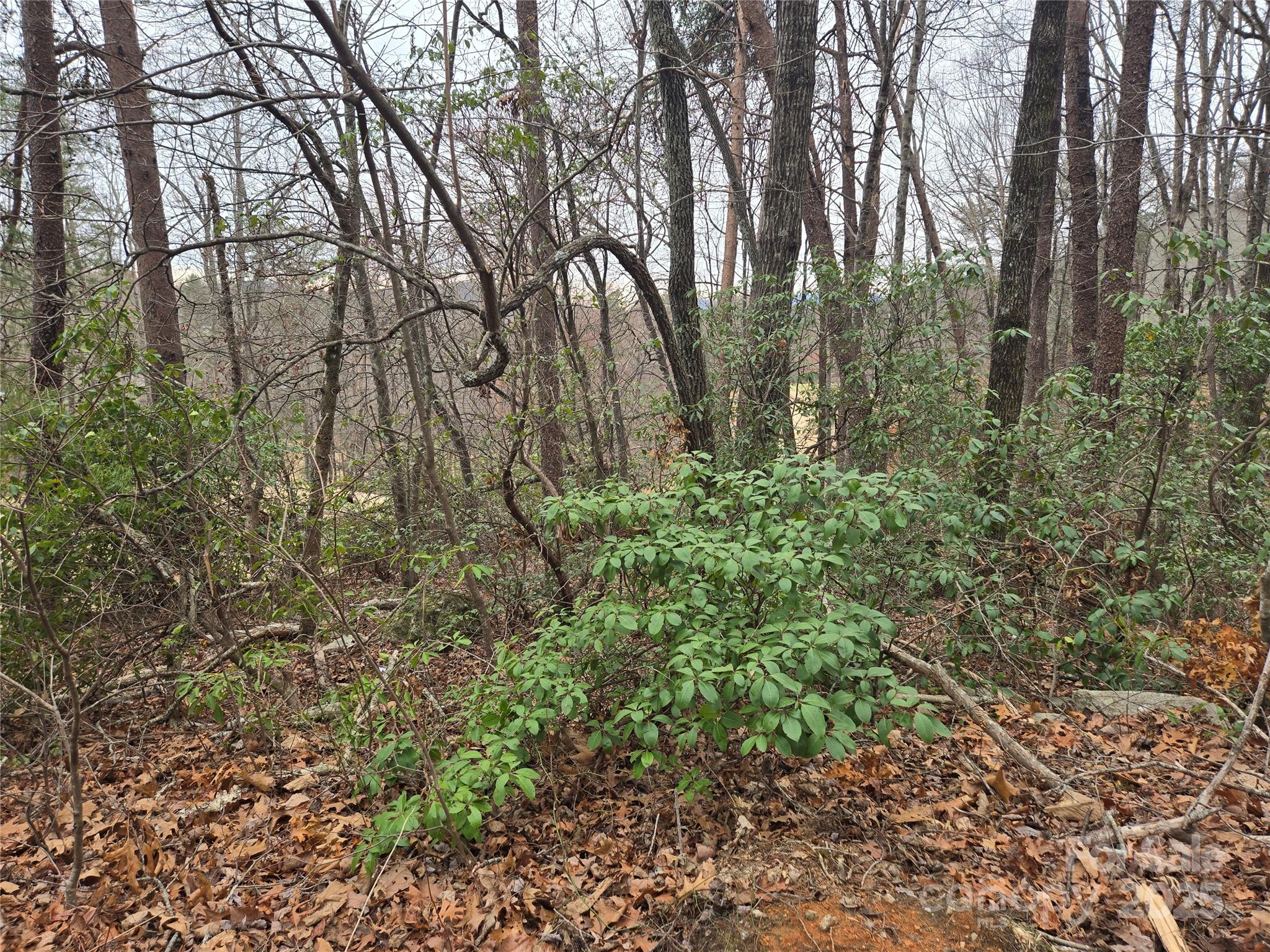 Lot 28 Roundabout Road Lake Lure NC 28746
