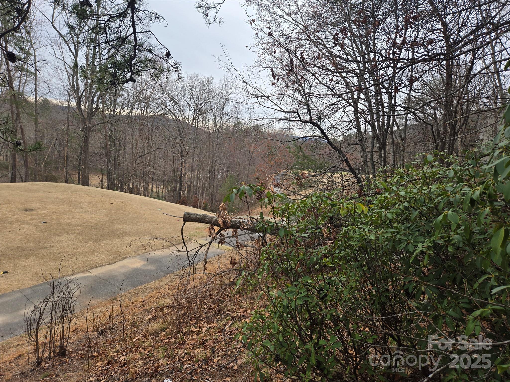 Lot 28 Roundabout Road Lake Lure NC 28746