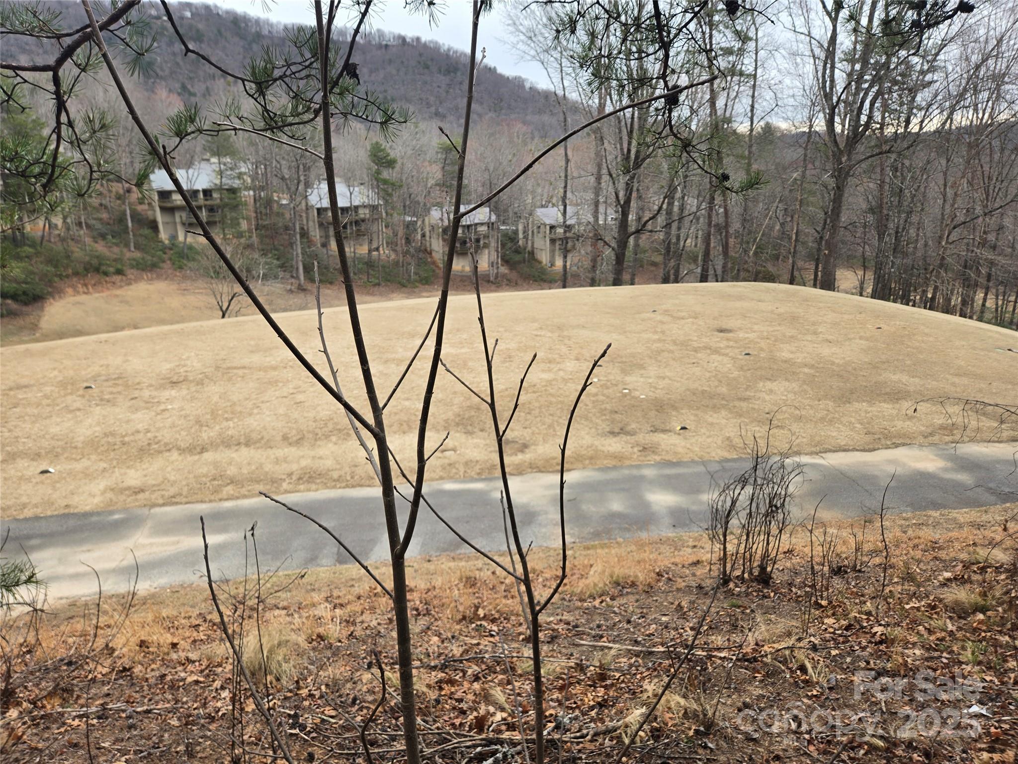 Lot 28 Roundabout Road Lake Lure NC 28746