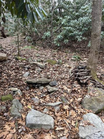 000 Lytle Cove Road Swannanoa NC 28778