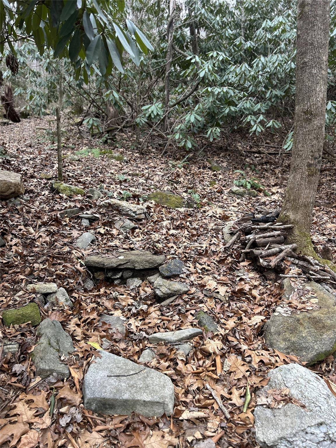 000 Lytle Cove Road Swannanoa NC 28778