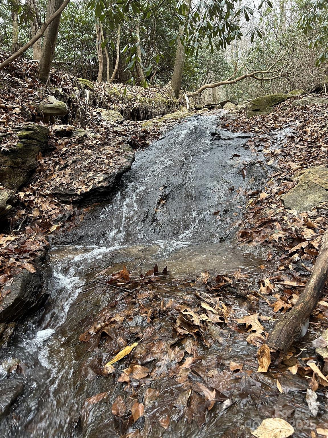 000 Lytle Cove Road Swannanoa NC 28778