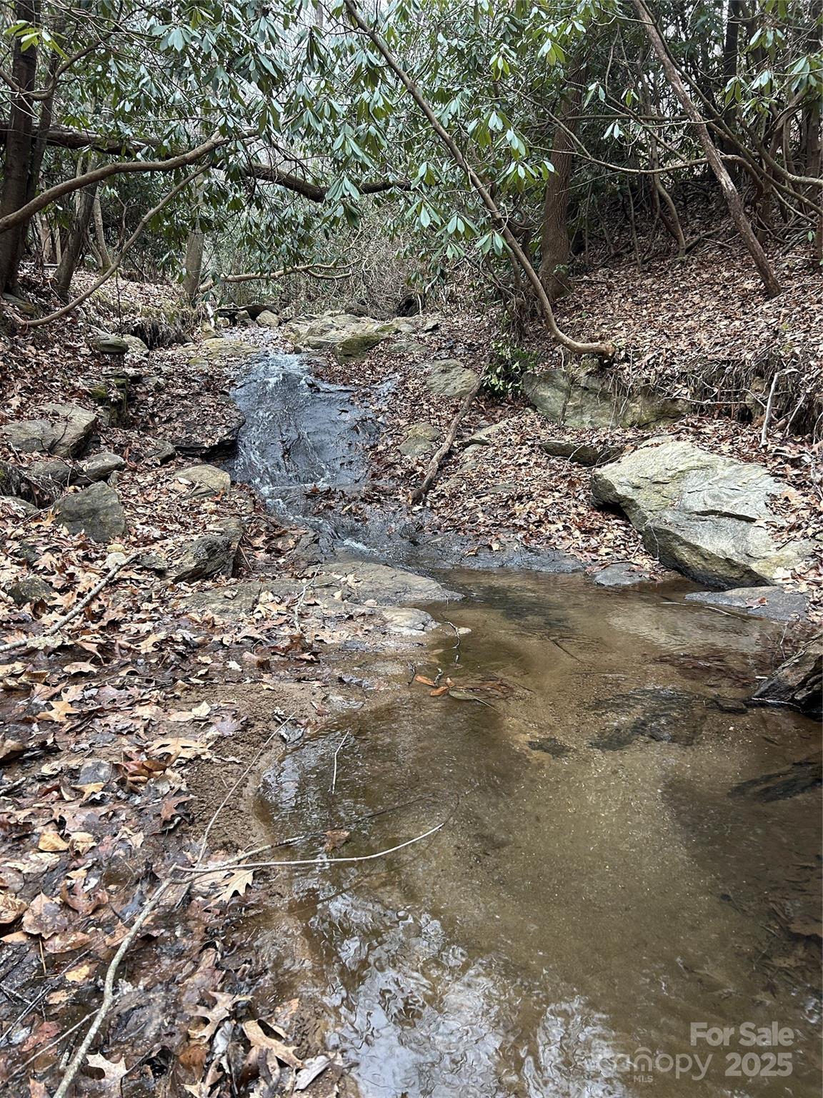 000 Lytle Cove Road Swannanoa NC 28778