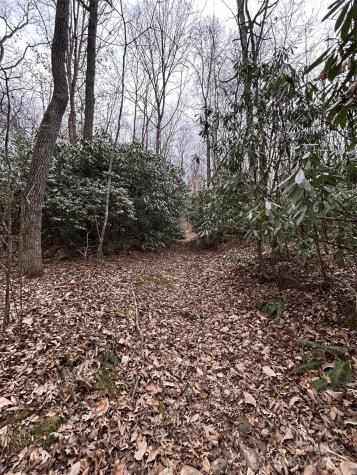 000 Lytle Cove Road Swannanoa NC 28778
