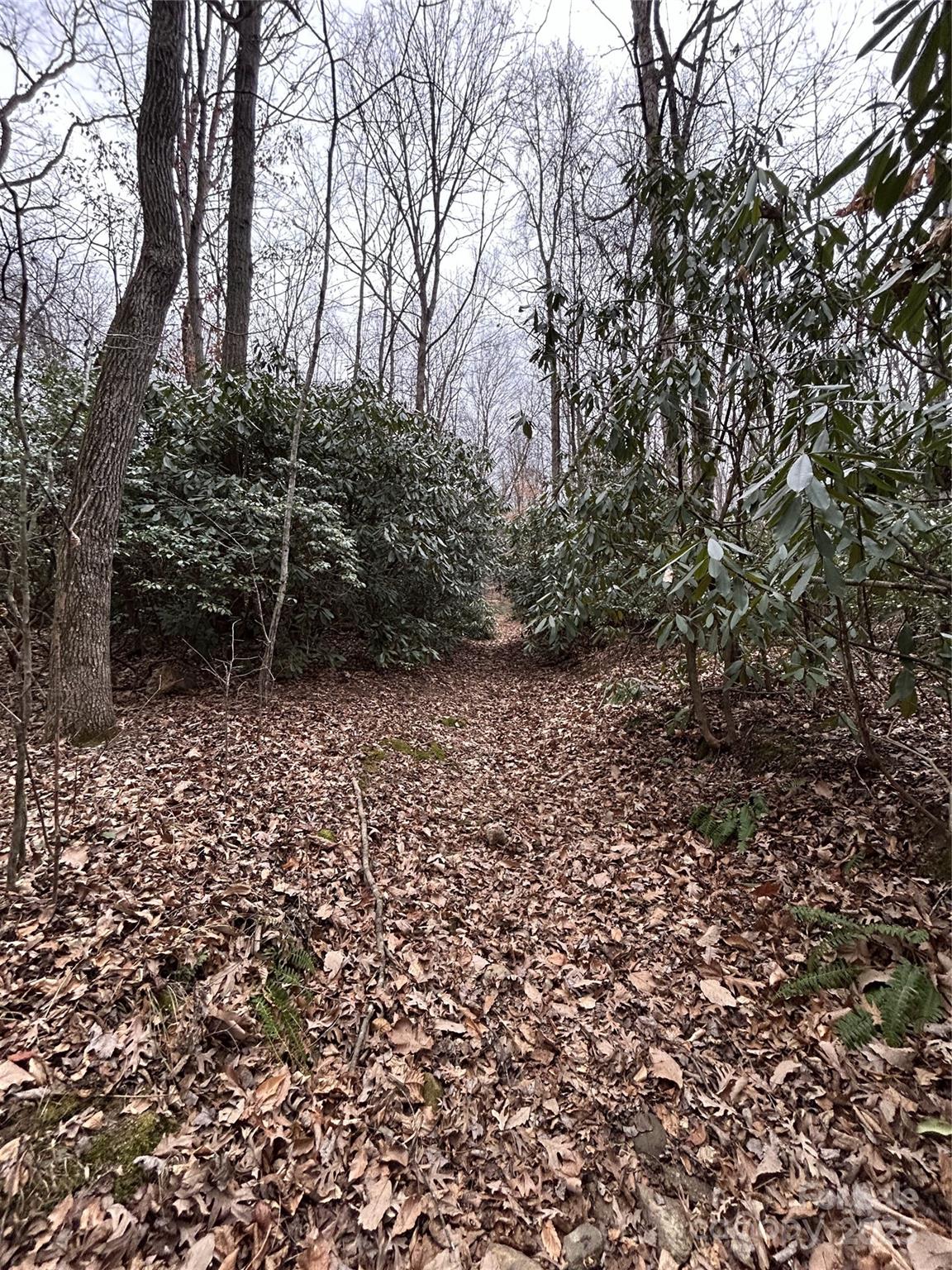 000 Lytle Cove Road Swannanoa NC 28778