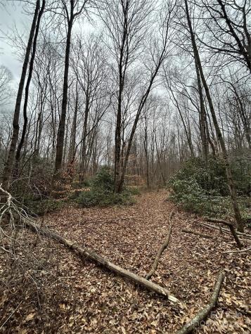 000 Lytle Cove Road Swannanoa NC 28778