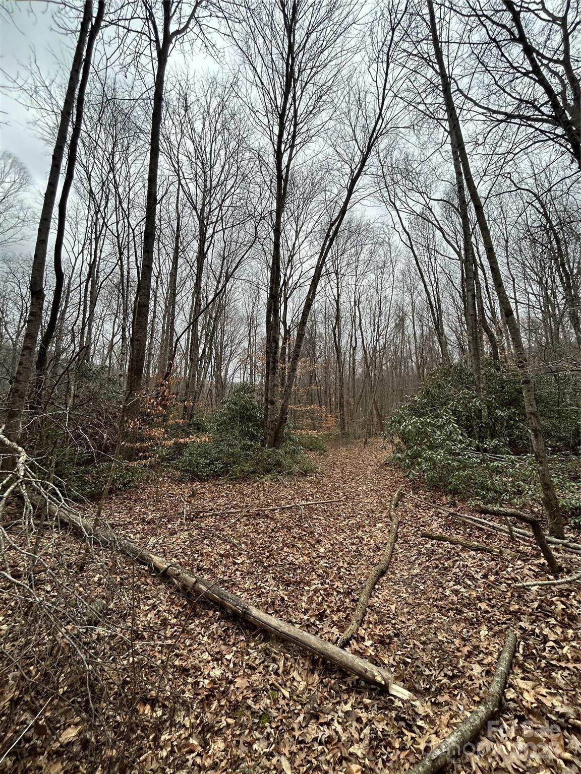 000 Lytle Cove Road Swannanoa NC 28778
