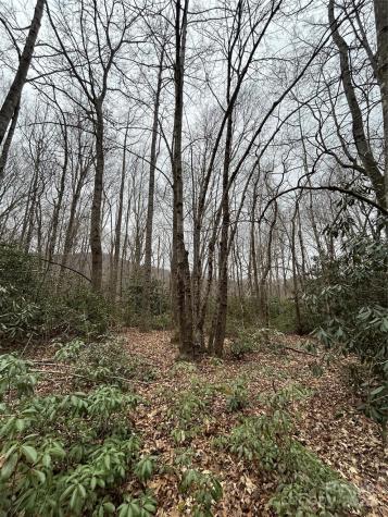 000 Lytle Cove Road Swannanoa NC 28778
