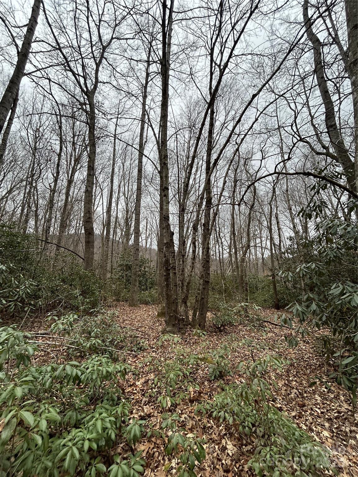 000 Lytle Cove Road Swannanoa NC 28778