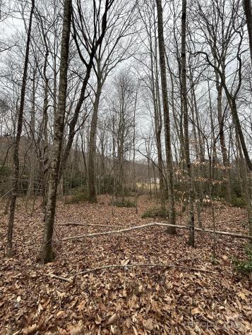 000 Lytle Cove Road Swannanoa NC 28778