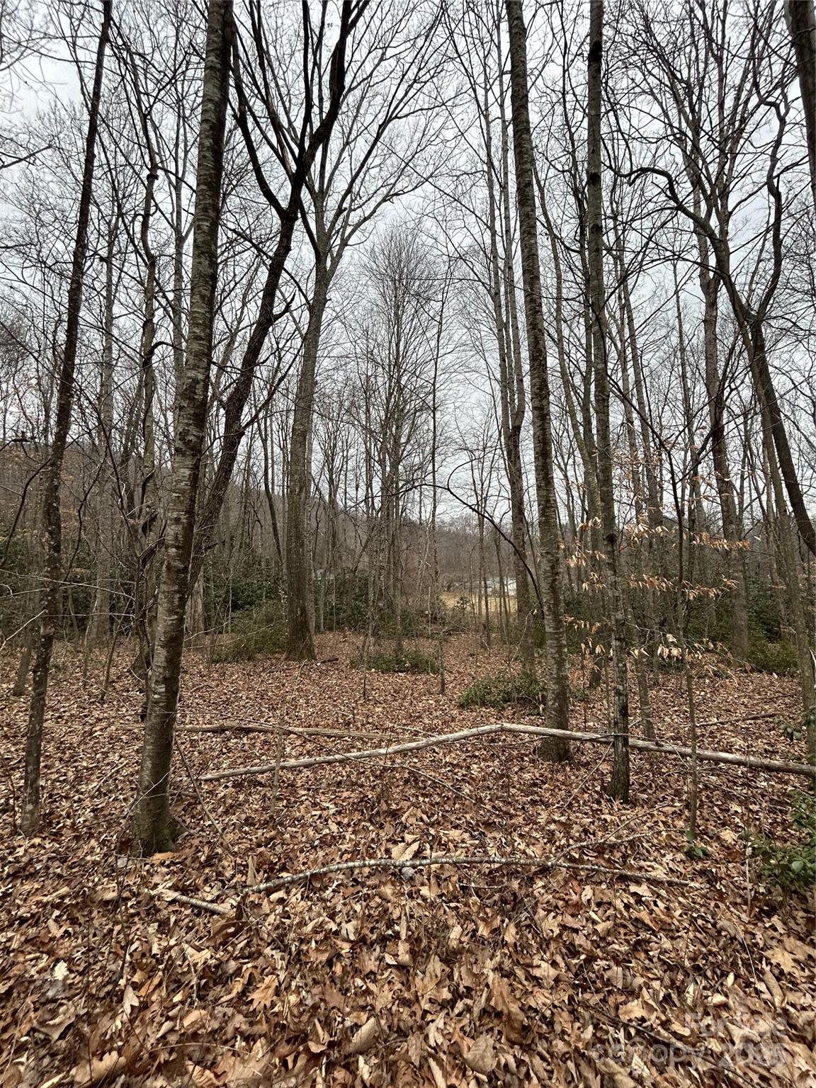 000 Lytle Cove Road Swannanoa NC 28778