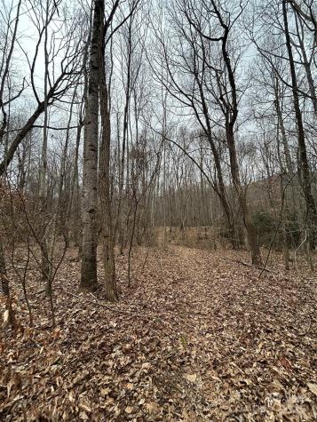 000 Lytle Cove Road Swannanoa NC 28778