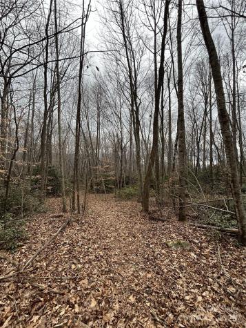 000 Lytle Cove Road Swannanoa NC 28778