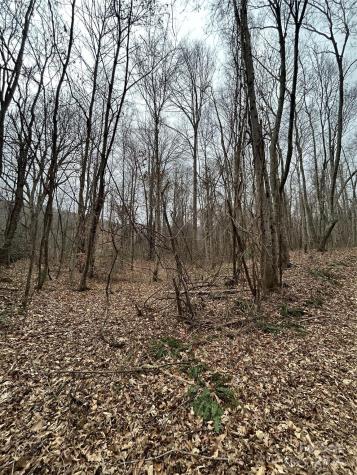 000 Lytle Cove Road Swannanoa NC 28778
