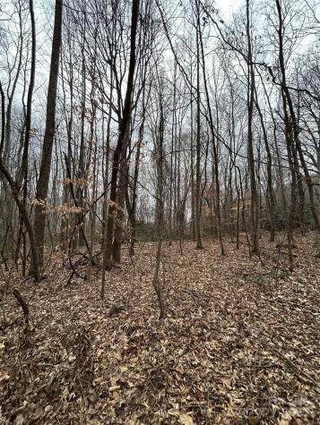 000 Lytle Cove Road Swannanoa NC 28778
