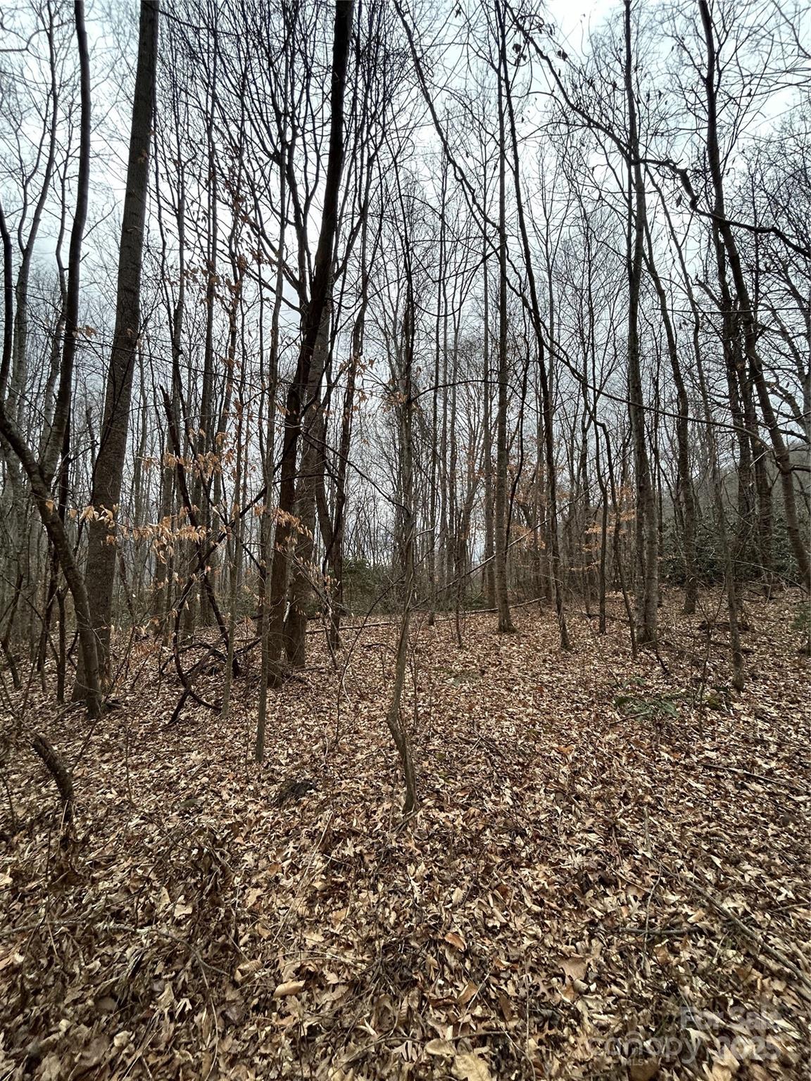 000 Lytle Cove Road Swannanoa NC 28778
