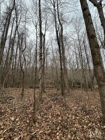 000 Lytle Cove Road Swannanoa NC 28778