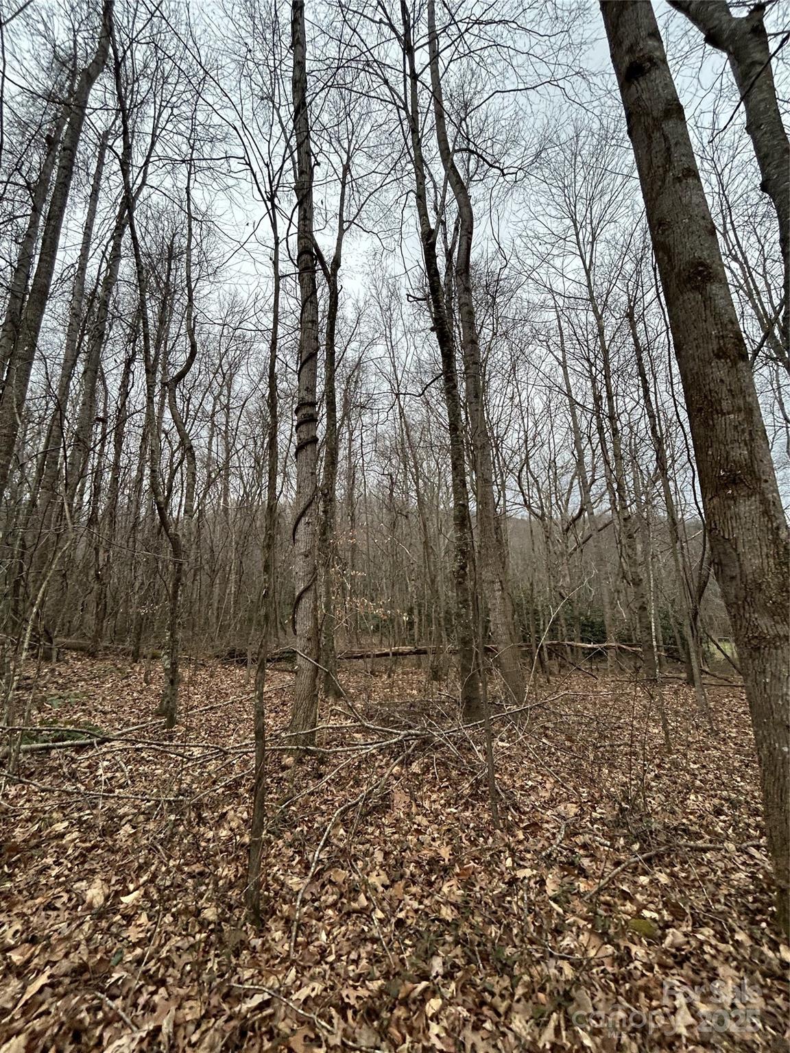 000 Lytle Cove Road Swannanoa NC 28778
