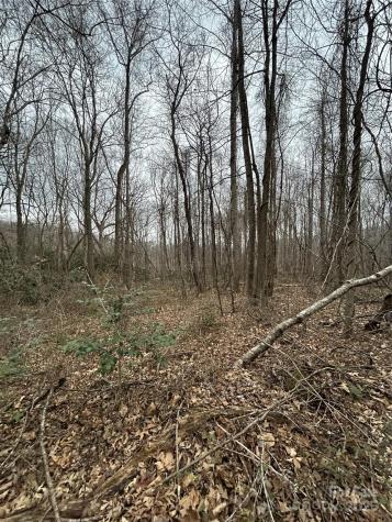 000 Lytle Cove Road Swannanoa NC 28778