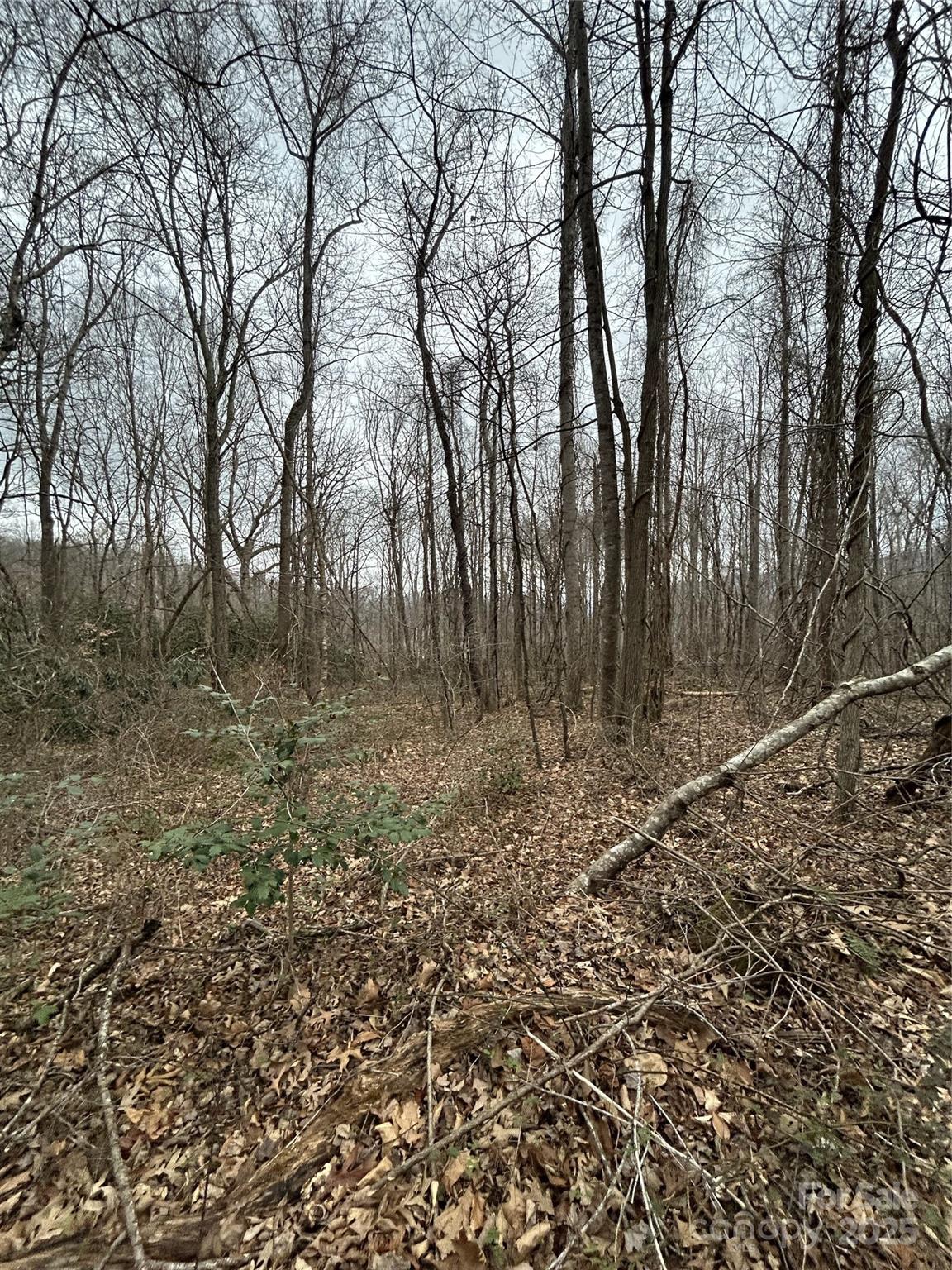 000 Lytle Cove Road Swannanoa NC 28778