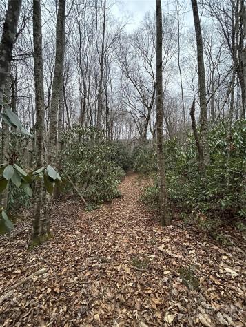 000 Lytle Cove Road Swannanoa NC 28778