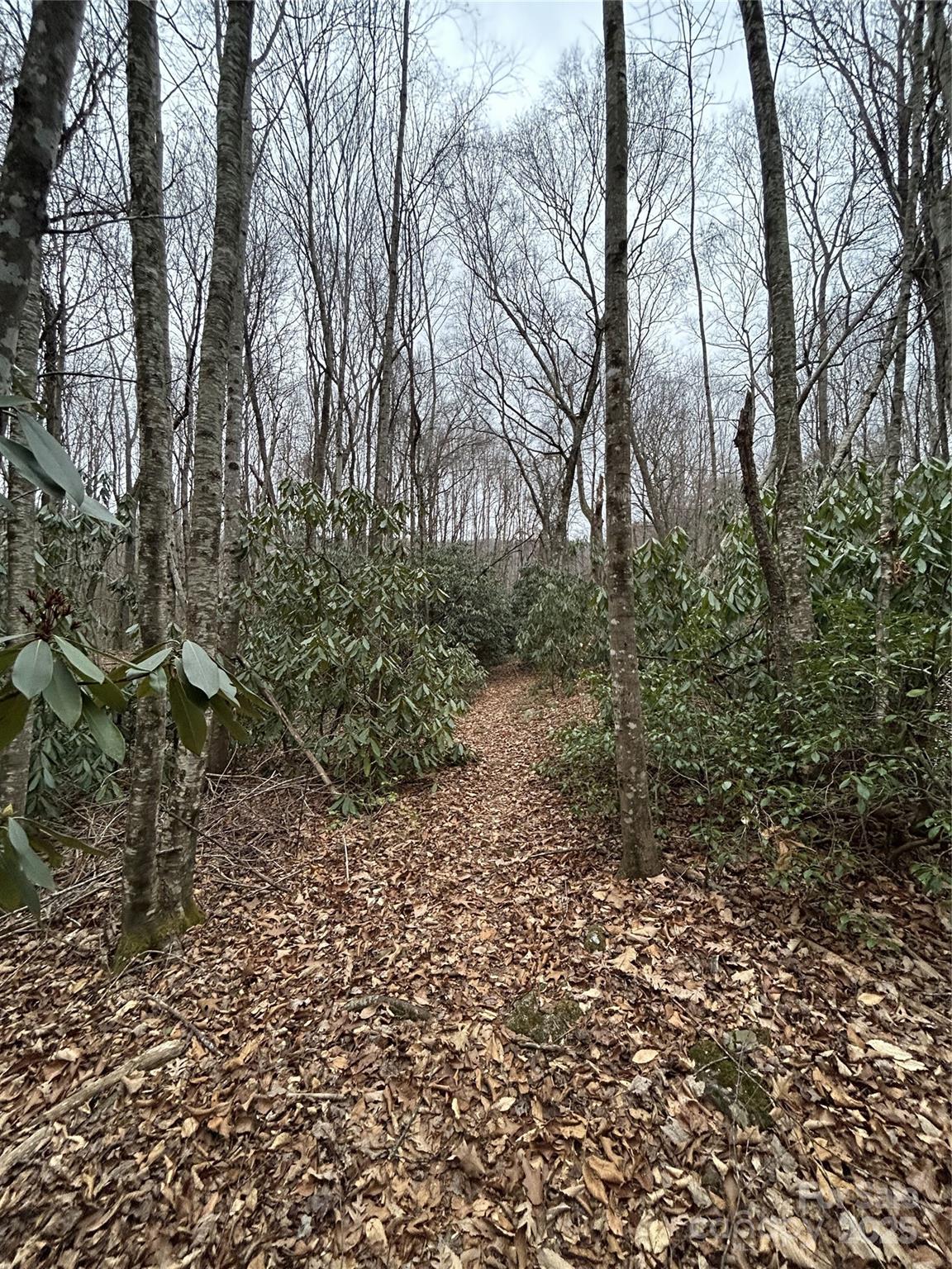 000 Lytle Cove Road Swannanoa NC 28778