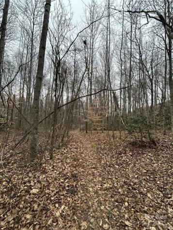 000 Lytle Cove Road Swannanoa NC 28778