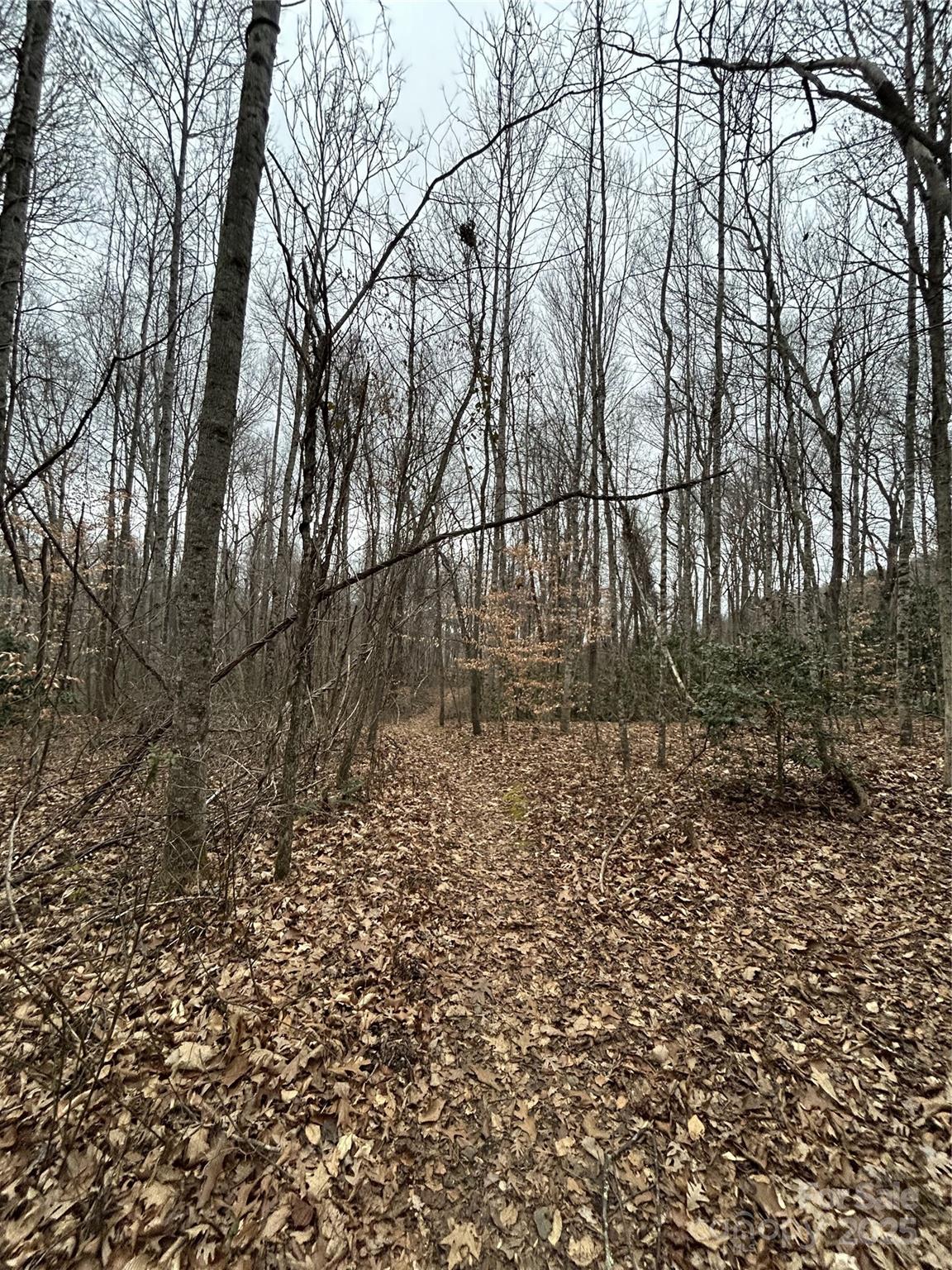 000 Lytle Cove Road Swannanoa NC 28778