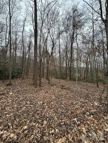 000 Lytle Cove Road Swannanoa NC 28778
