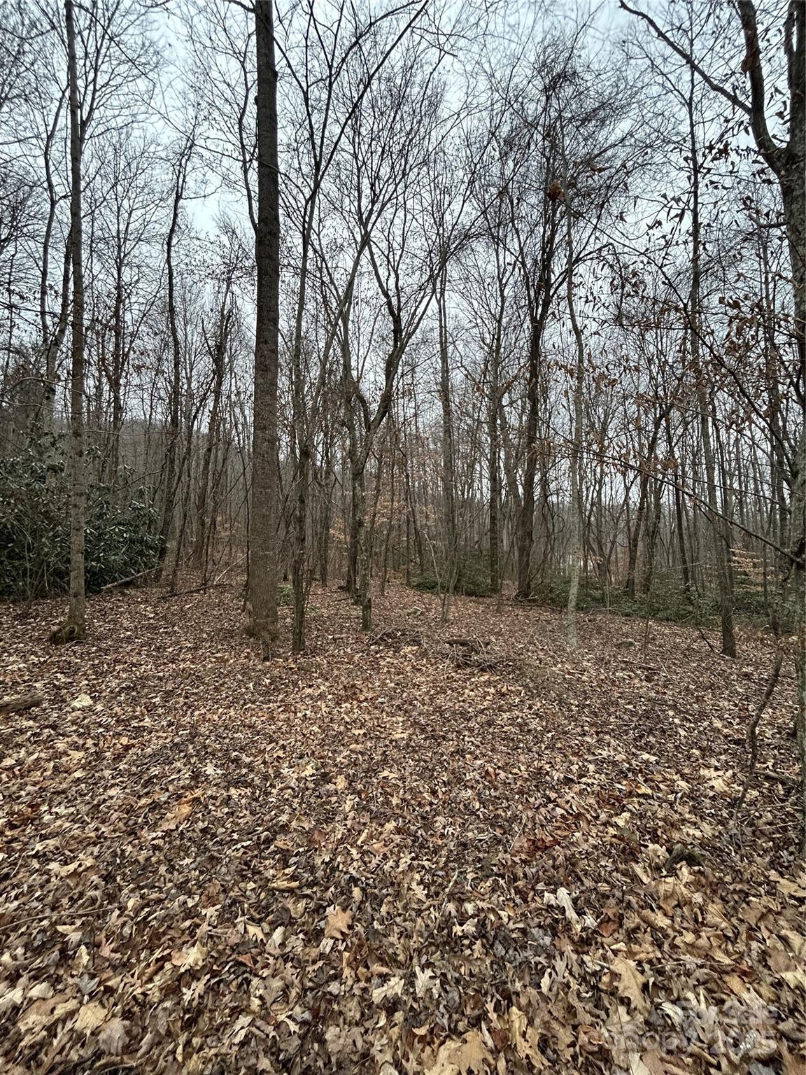 000 Lytle Cove Road Swannanoa NC 28778
