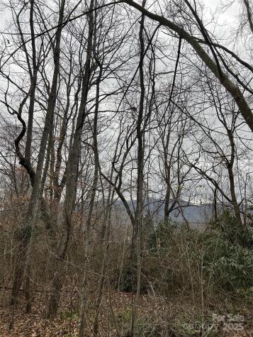 000 Lytle Cove Road Swannanoa NC 28778