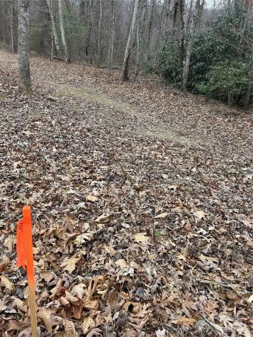 000 Lytle Cove Road Swannanoa NC 28778