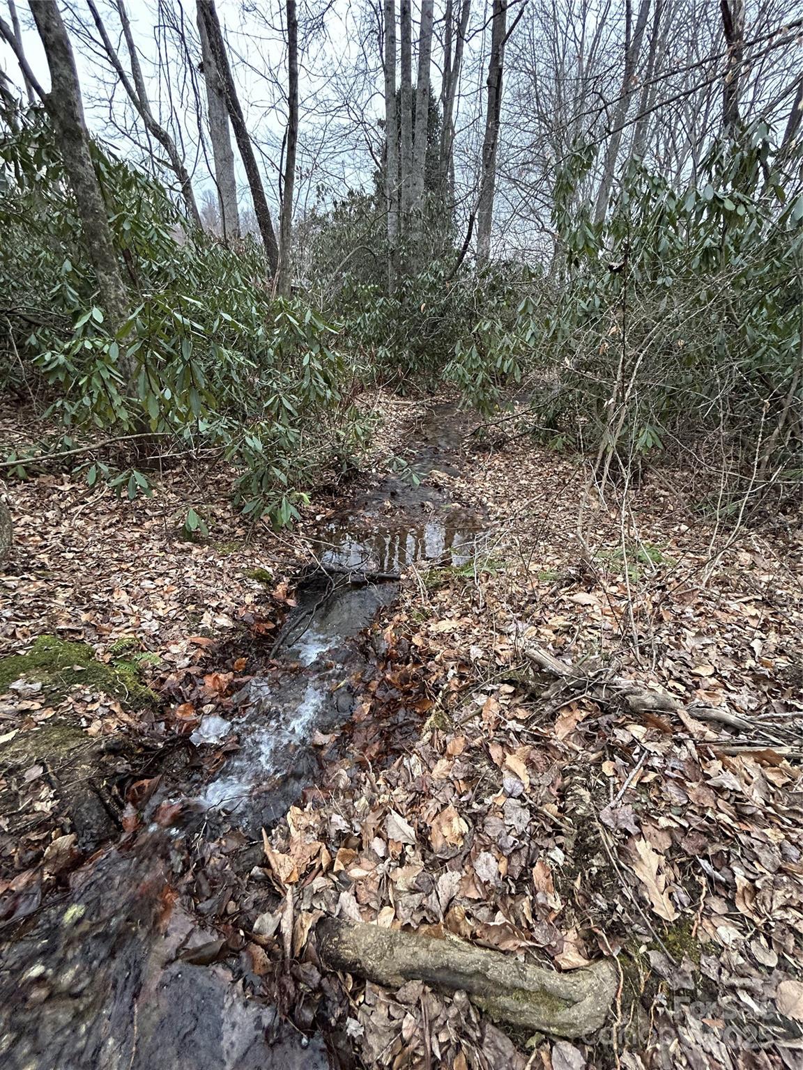 000 Lytle Cove Road Swannanoa NC 28778