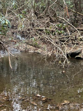 000 Lytle Cove Road Swannanoa NC 28778