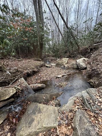 000 Lytle Cove Road Swannanoa NC 28778